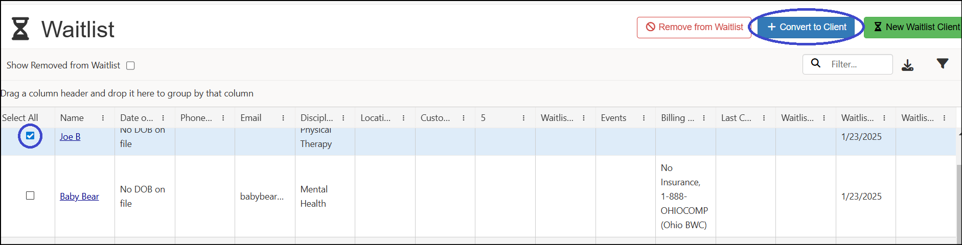 Client Waitlist