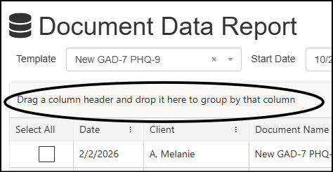 Document Data Report